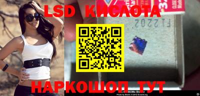 стафф Краснодар