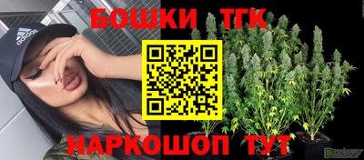 стафф Краснодар