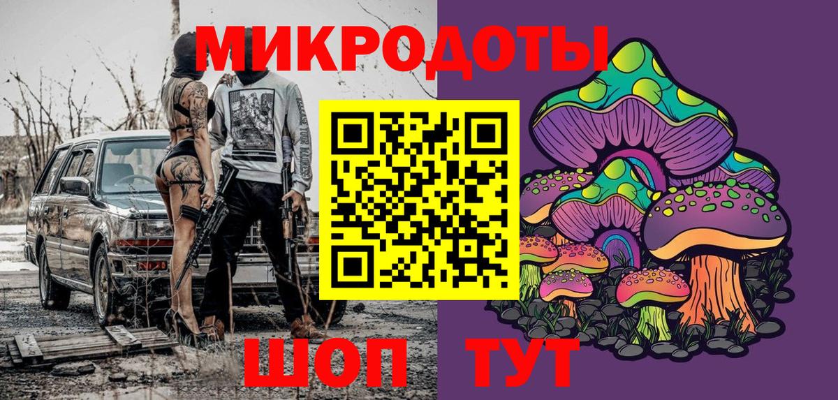 Камышин  Галлюциногенные грибы Cubensis  Вход с VPN 