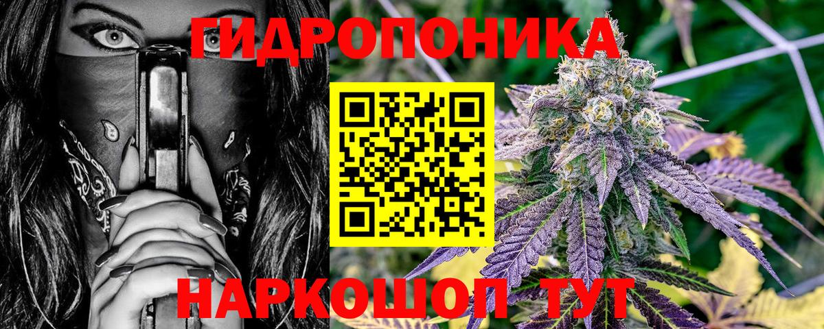 Камышин  Каннабис планчик  Вход с VPN  МАРИХУАНА VHQ 